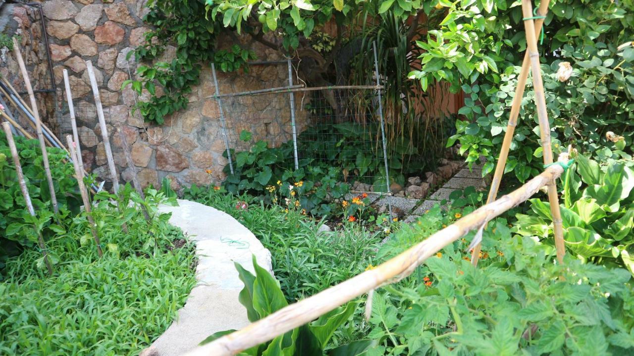Апартаменти La Casa Di Elba E Mario Порто-Санто-Стефано Екстер'єр фото